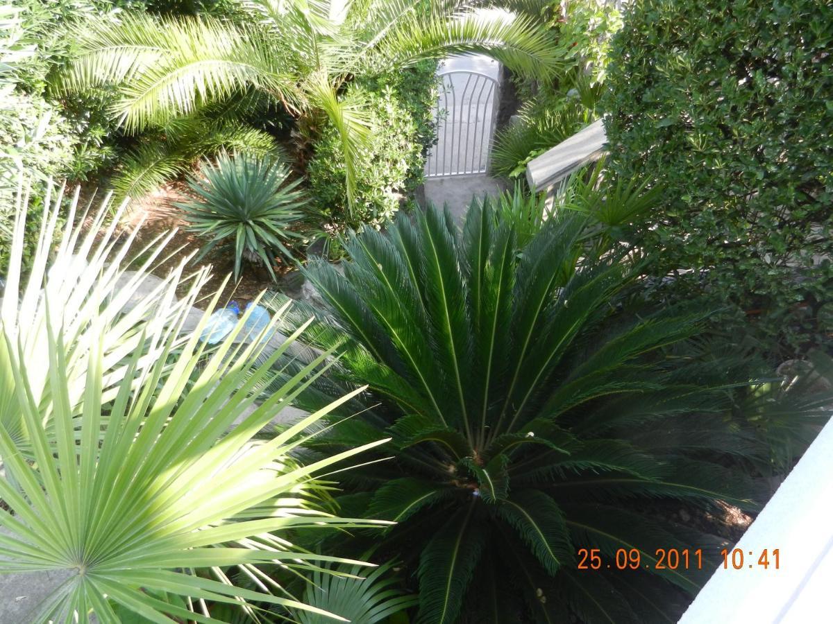 Apartments Sino More Tivat Ngoại thất bức ảnh